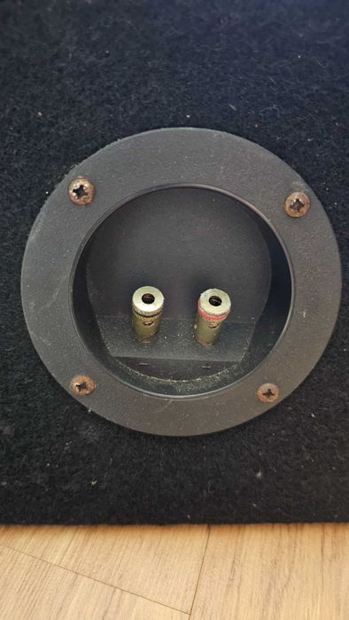Subwoofer Audio System R08