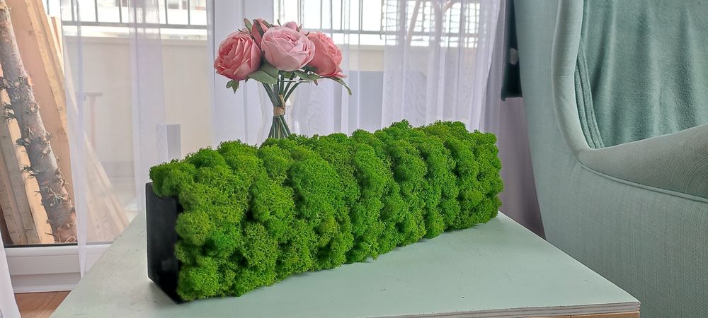 Mech chrobotek 50 cm drewno