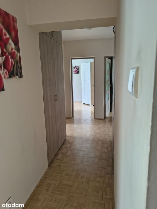 Zdjęcie 3