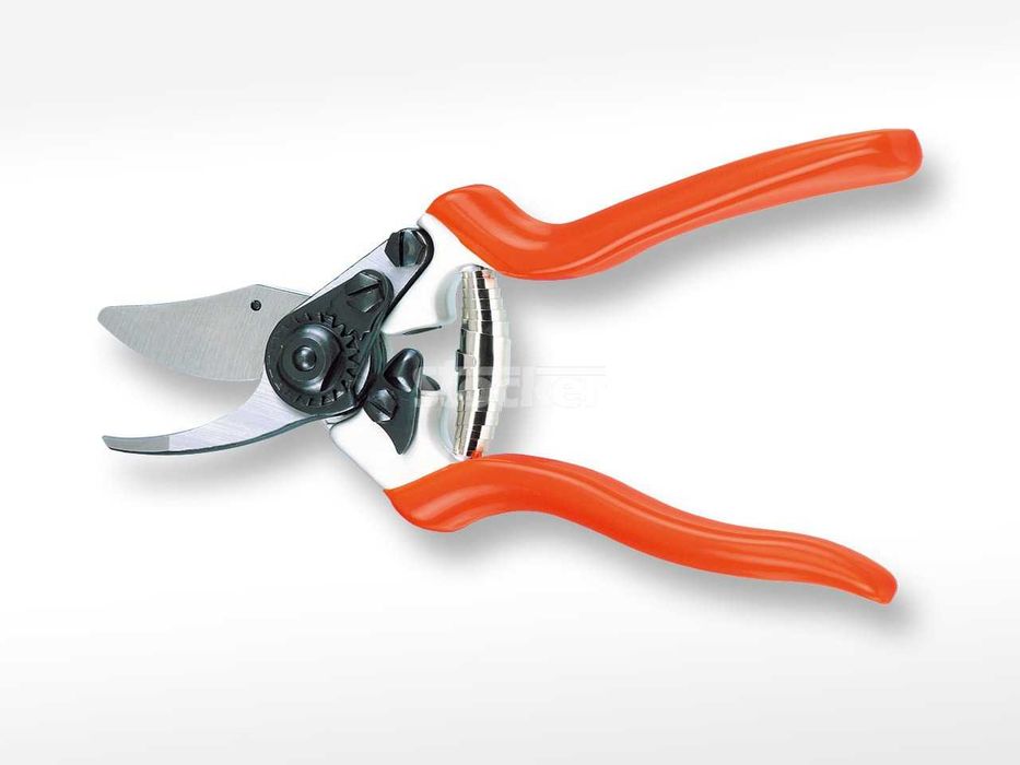 sekator winnica profi 21
