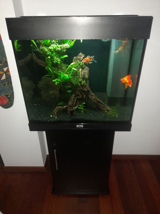 Akwarium juwel Lido 120l