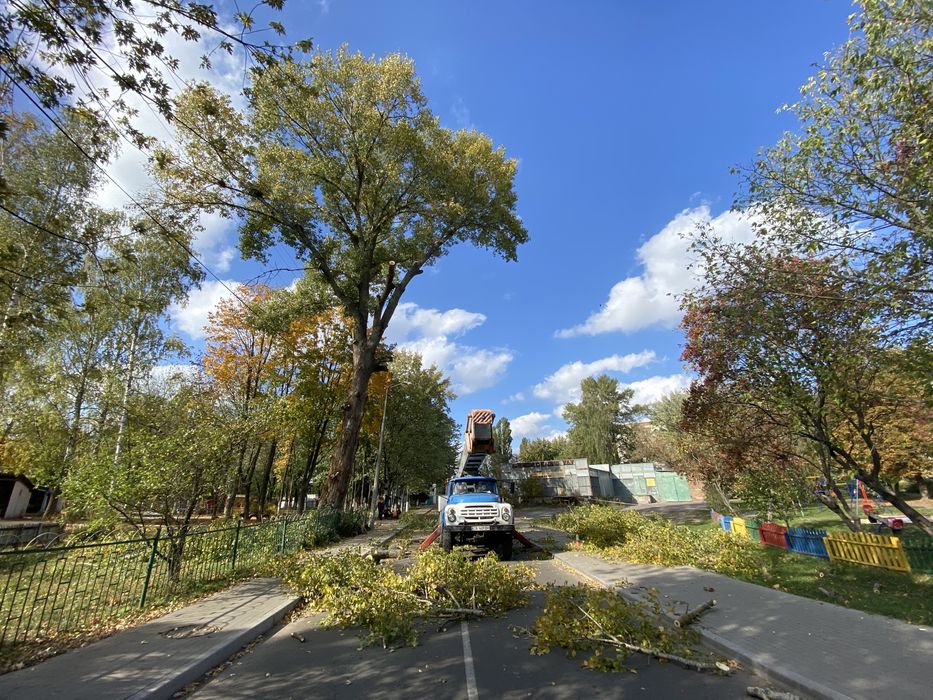 Удаление дерева, кронирование, спил деревьев, обрезка веток