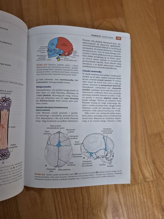 Embriologia Langman