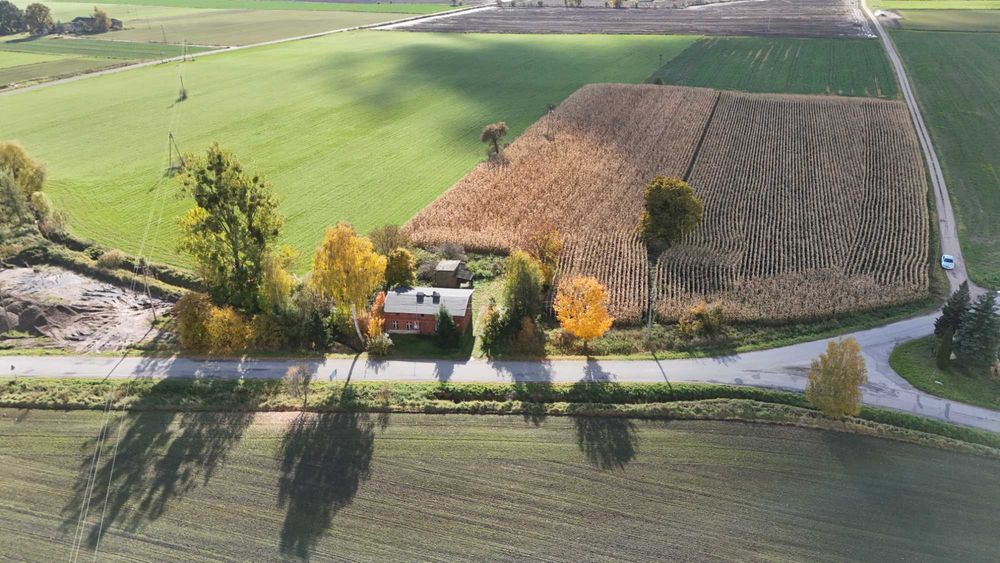 Siedlisko wraz z działką