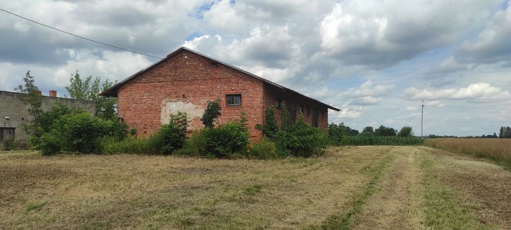 Działka ok. 1 ha z magazynem – Jakubowice, gm. Ożarów - Widok 2
