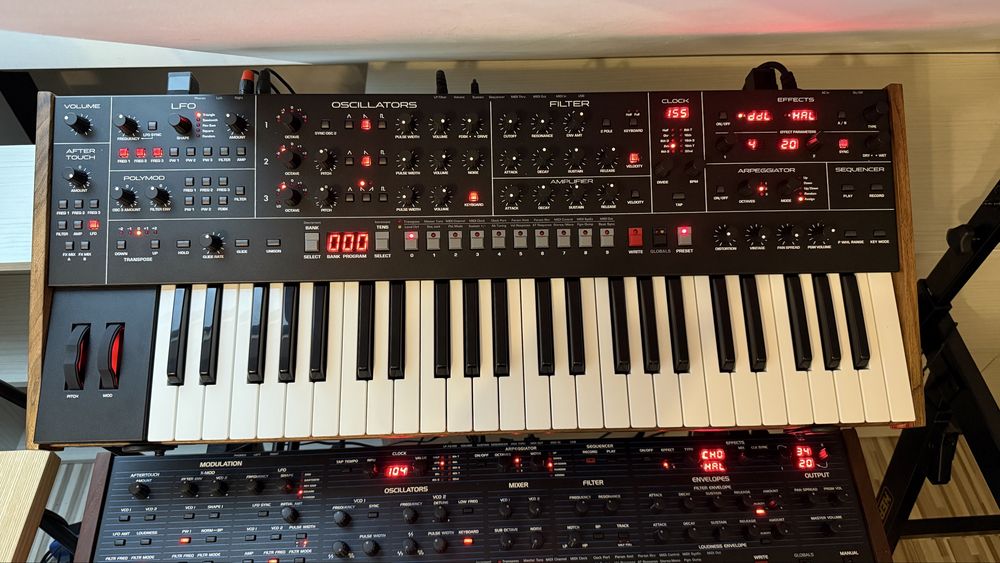 Sequential Trigon 6 - unikatowy egzemplarz z customowymi boczkami SE