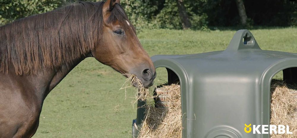Paśnik na baloty, dla cieląt i koni, 5 stanowisk, Kerbl