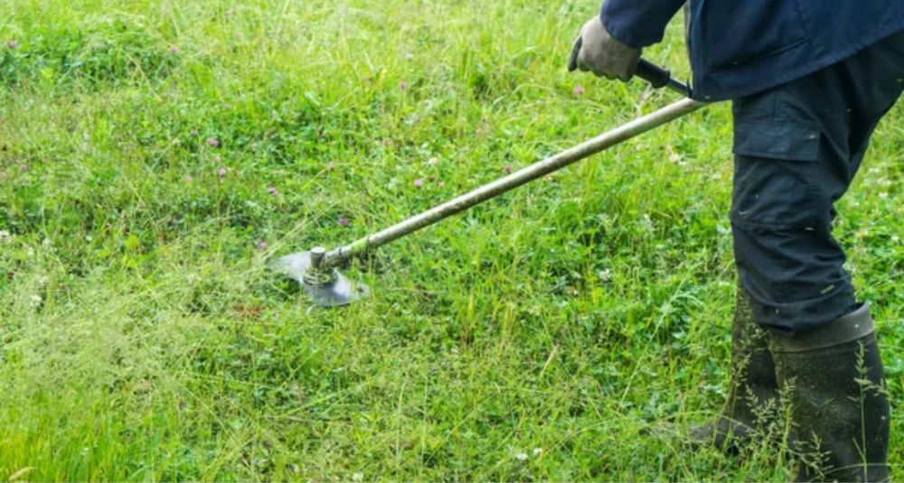 Limpezas de terrenos