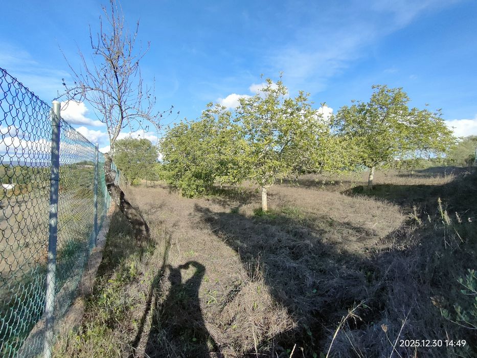 Alugo terreno com anexo