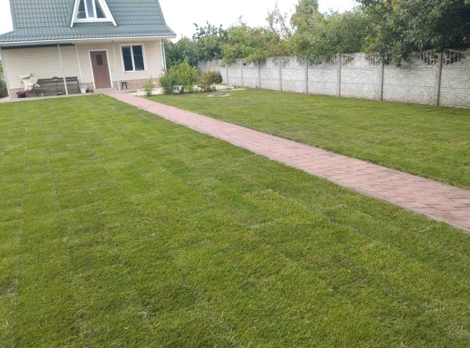 Розпилювання дерева спил дерева прибирання ділянок