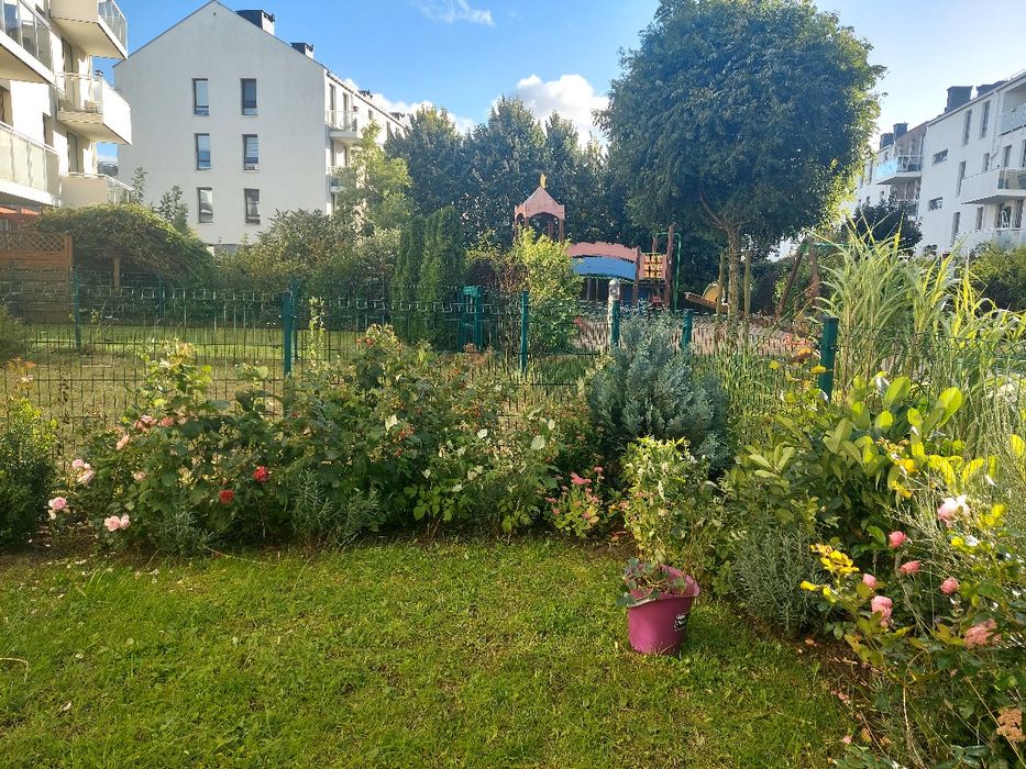 Wynajmę mieszkanie