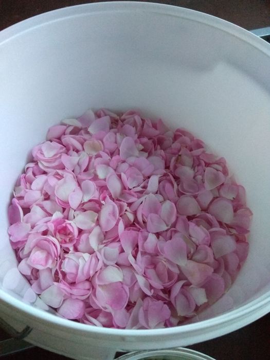 Гидролаты розы, мяты и... сезонные растения