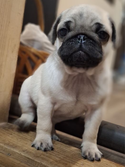 Дівчинка шукає родину.