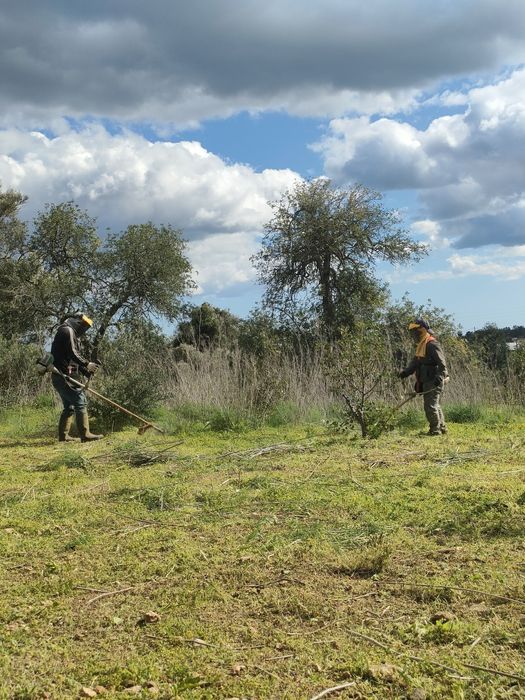 Serviço de roçadora, limpeza de terrenos, entre outros