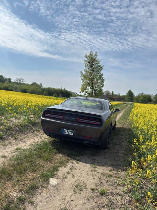 Sprzedam Dodge challenger