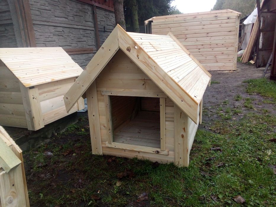 Buda dla psa TANIO SZYBKO