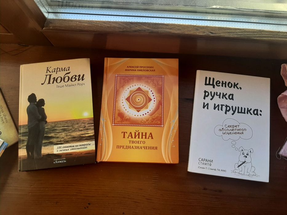 Книжки Тараріної, Майкла Роуча Кармічний менеджмент