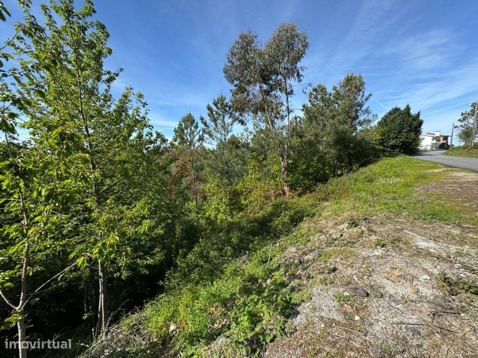 Terreno para Construção em São Romão - Seia - Serra da Estrela — Seia, São Romão E Lapa Dos Dinheiros, Guarda