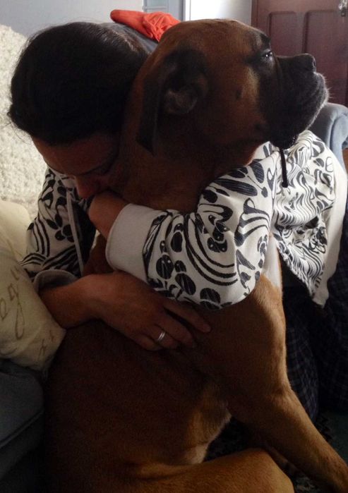 Petsitter na Bendada