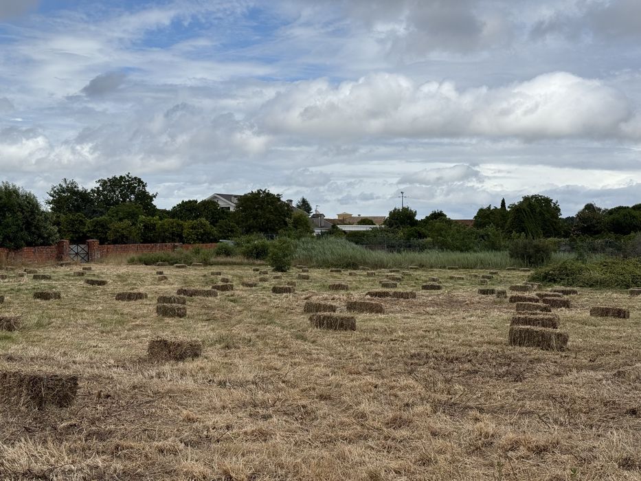 Fardos de palha