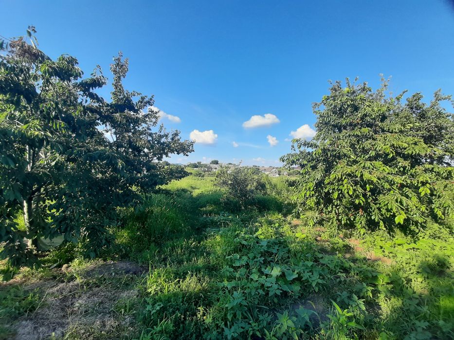 Продается дом с Великий Дальник ,хороший торг ,10 км от Одессы