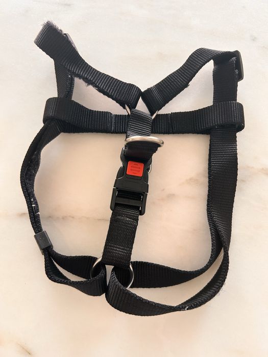 Peitorral para passear cao