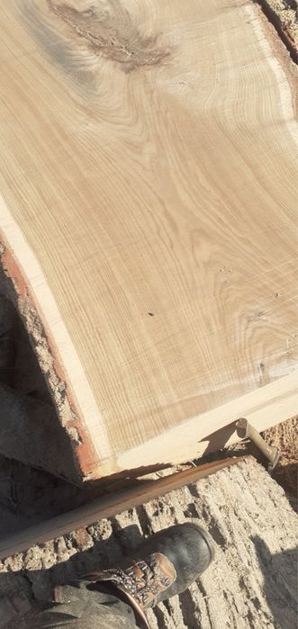 Drewno dębowe plastry srednica ok 1,5 m dąb  brusy