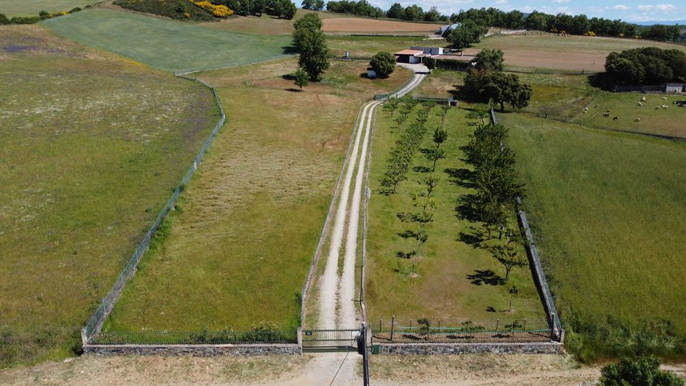 QUINTA_Bragança_Donai