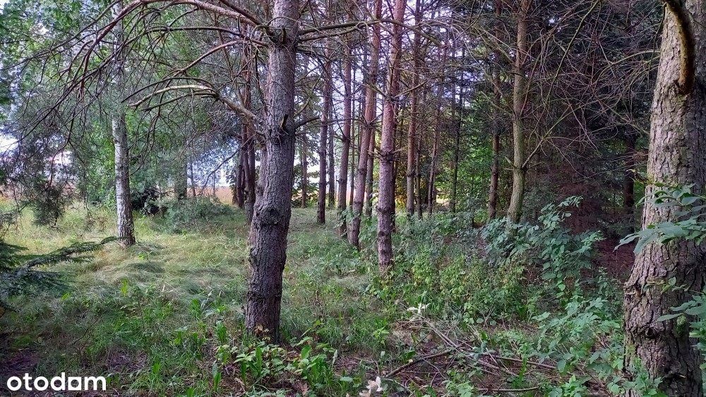 Unikalna, duża zadrzewiona działka budowlano-rolna