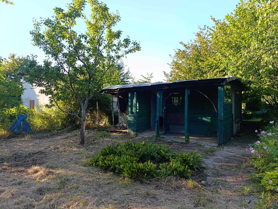 Dzialka rod kaprys Zabrze-Rokitnica