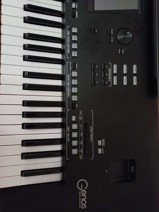 Korg pa 600.Yamaha psr-sx 700.Genos.Стилі  для Korg.Yamaha.Ketron.Rola