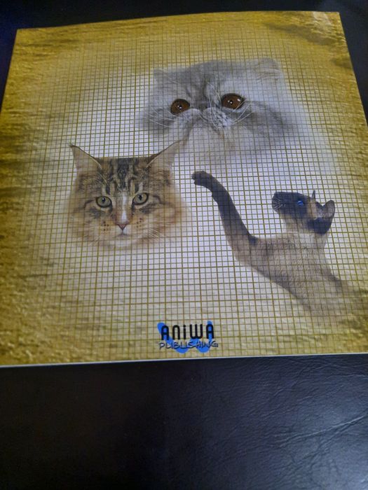 Gatos de Raça Royal Canin
