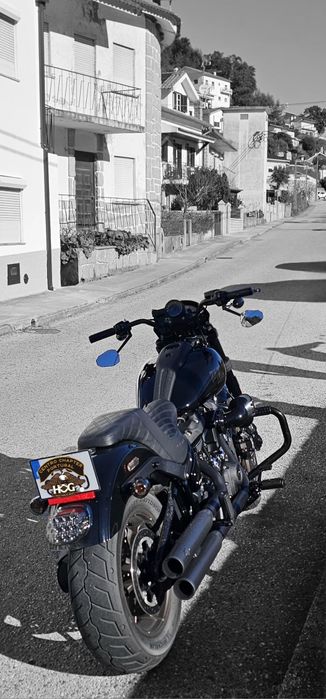 Harley-Davidson FXLRS Low Rider S 117