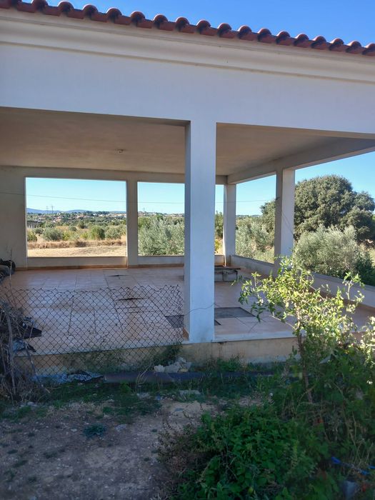 Oportunidade única | Unique opportunity