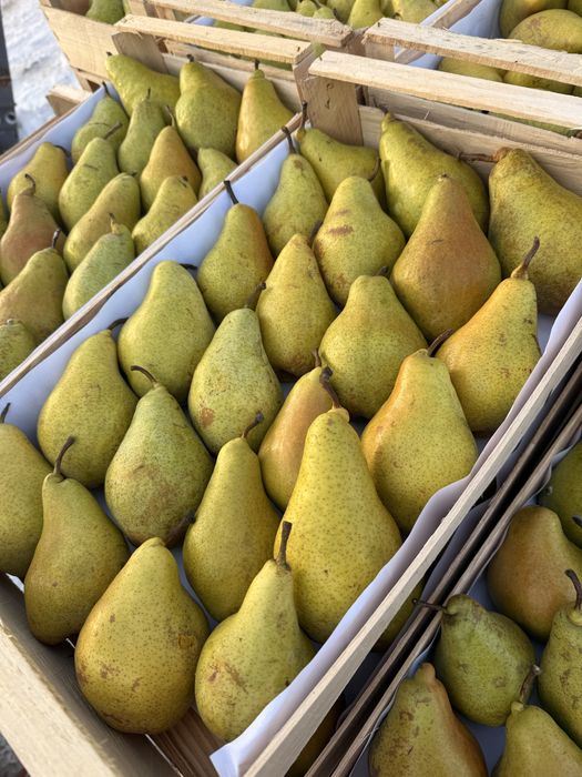 Продам грушу оптом