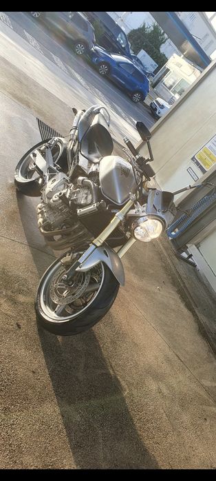 Hornet 600  2006