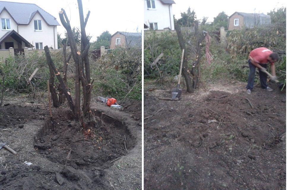 Корчевание пней Копка пней Расчистка участков Уборка дач домов