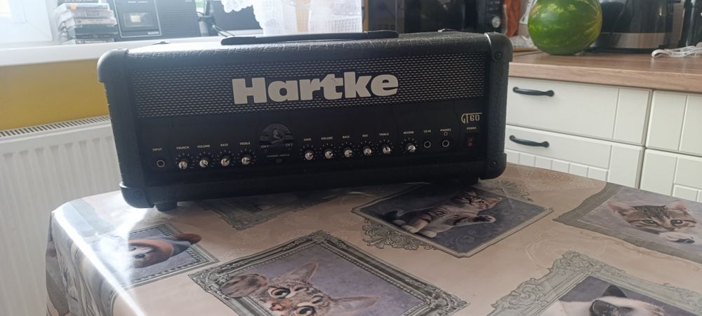 head Hartke GT60