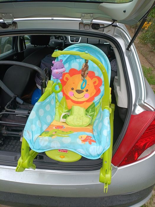 Bujaczek,leżaczek Fisher price