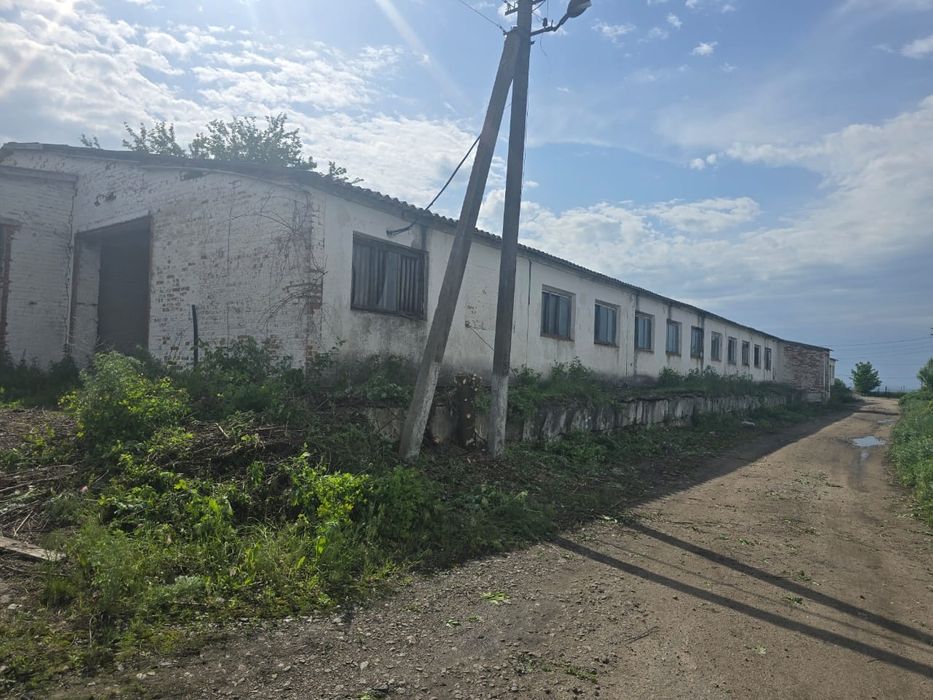 Ферма, фермерське господарство, фермерський комплекс