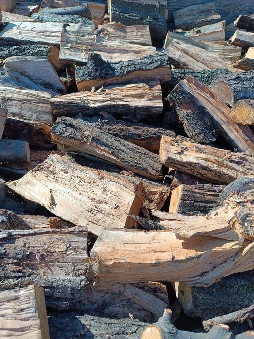Drzewo kominkowe, opałowe sezonowane (suche)