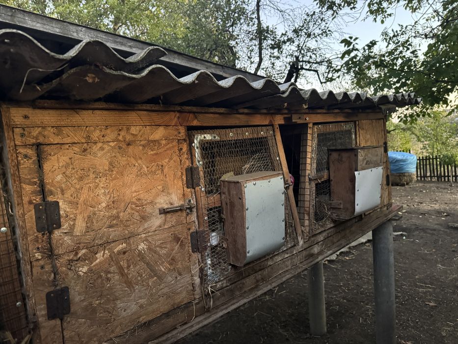 Клітки для кролів