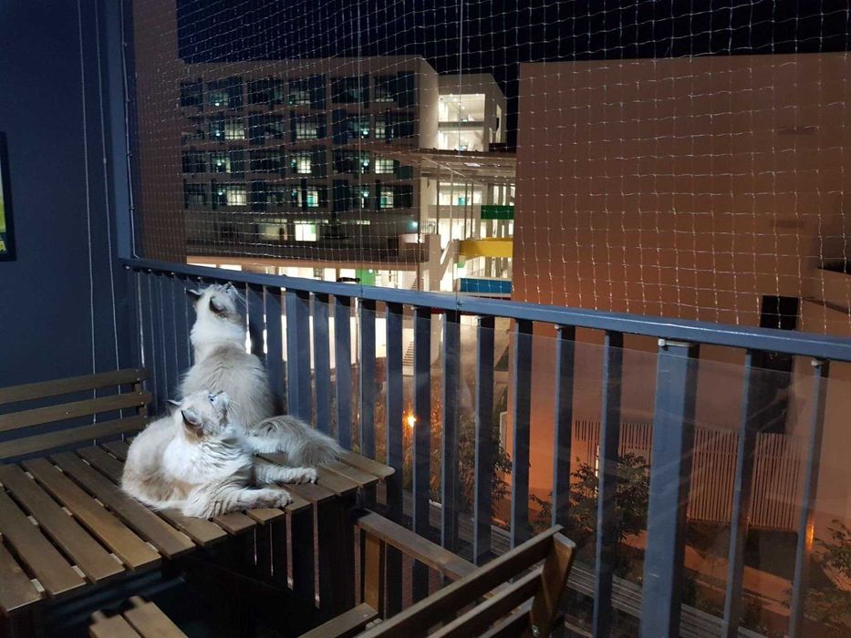 Siatka dla kota, siatka zabezpieczająca okno, zabezpieczająca balkon