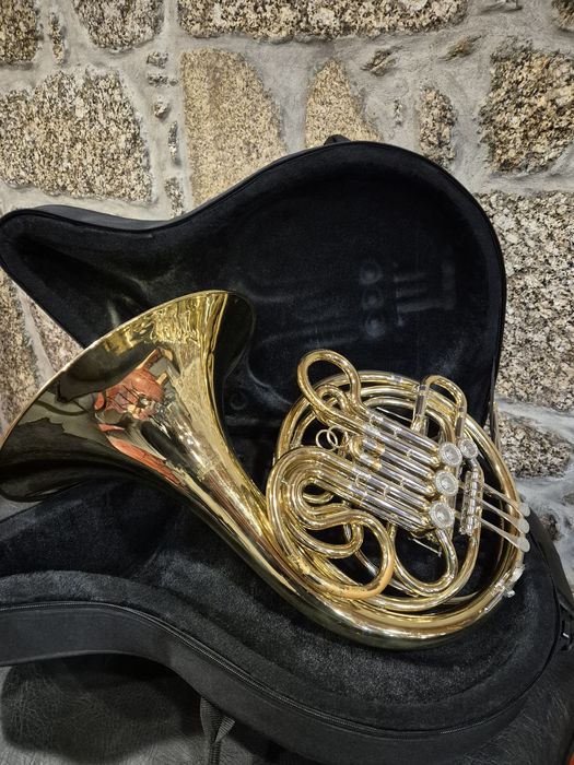 Trompa Wisemann DFH-BF600