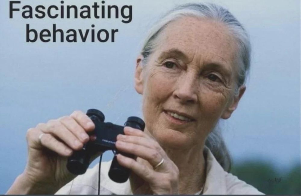 Explicações FQ / MACs e MAT A