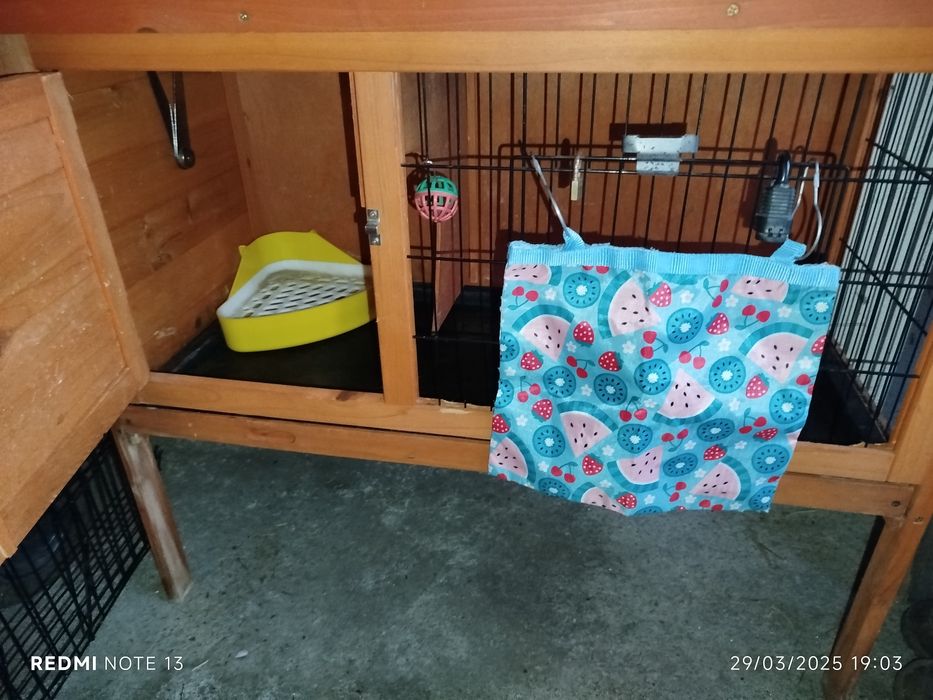 Coelheira de duas portas