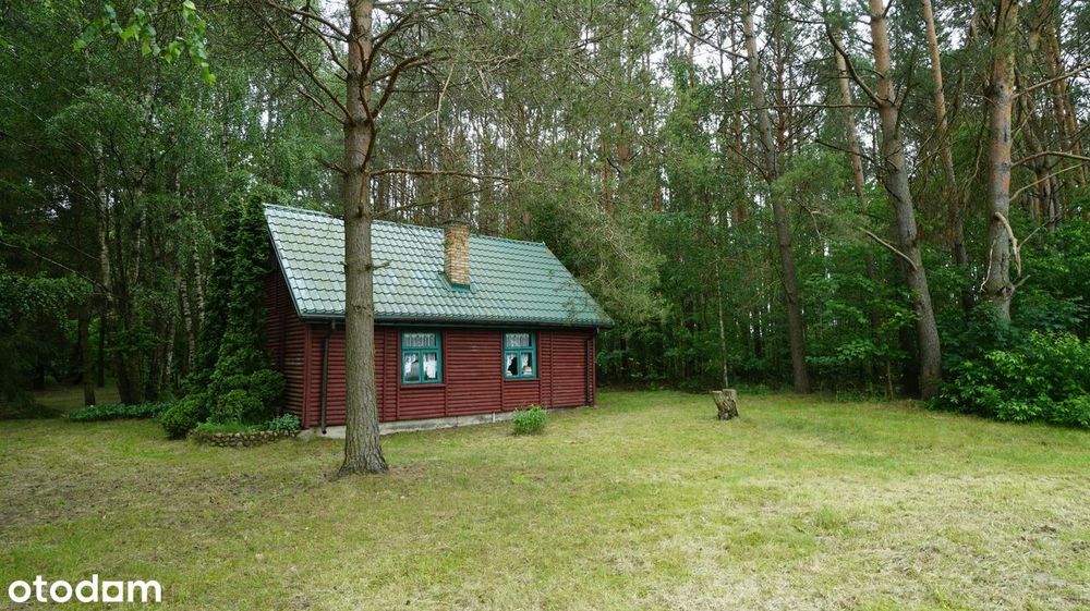 Domek ukryty w małym lesie, blisko rzeki, Cieciory gm. Turośl
