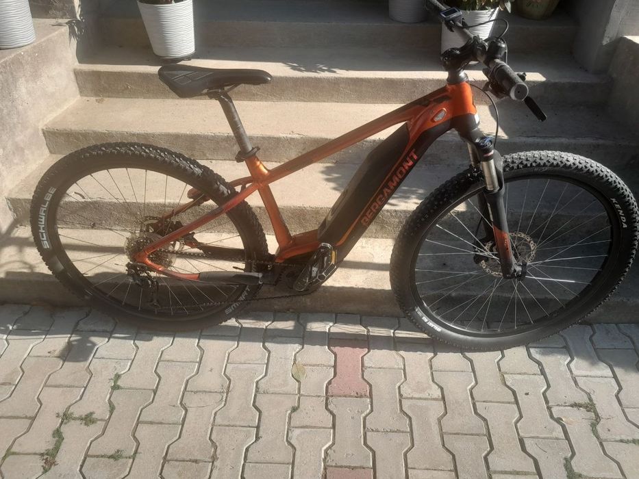 Bergamont на bocsh