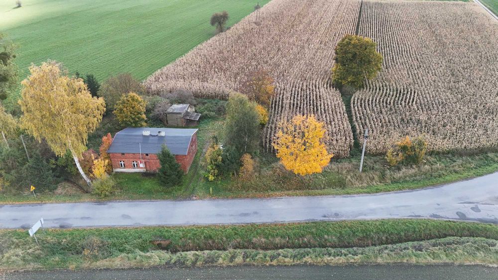 Siedlisko wraz z działką