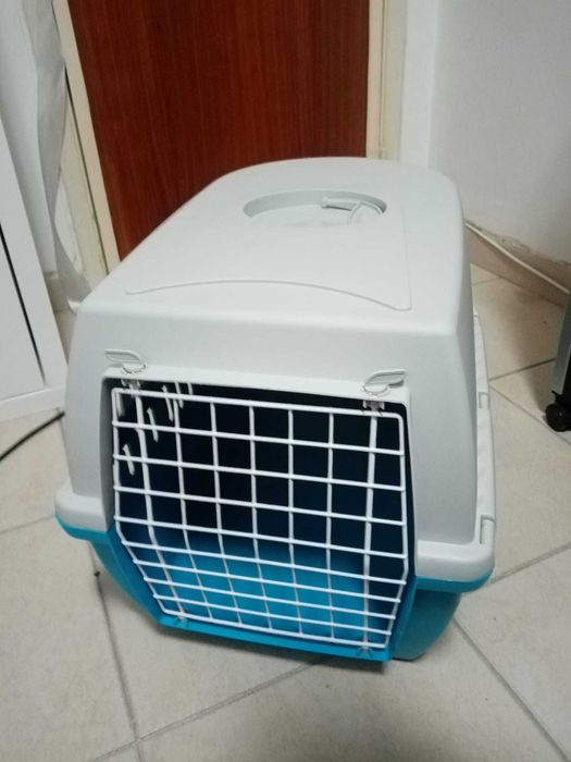 Conjunto caixa de transporte, caixa de areia, pá para areia e escova